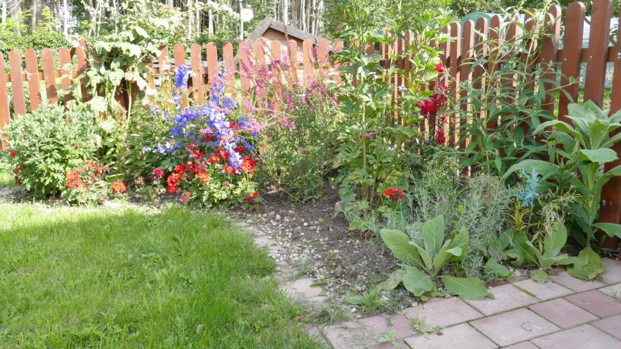 Warminskie Mieszkanko Homestay *