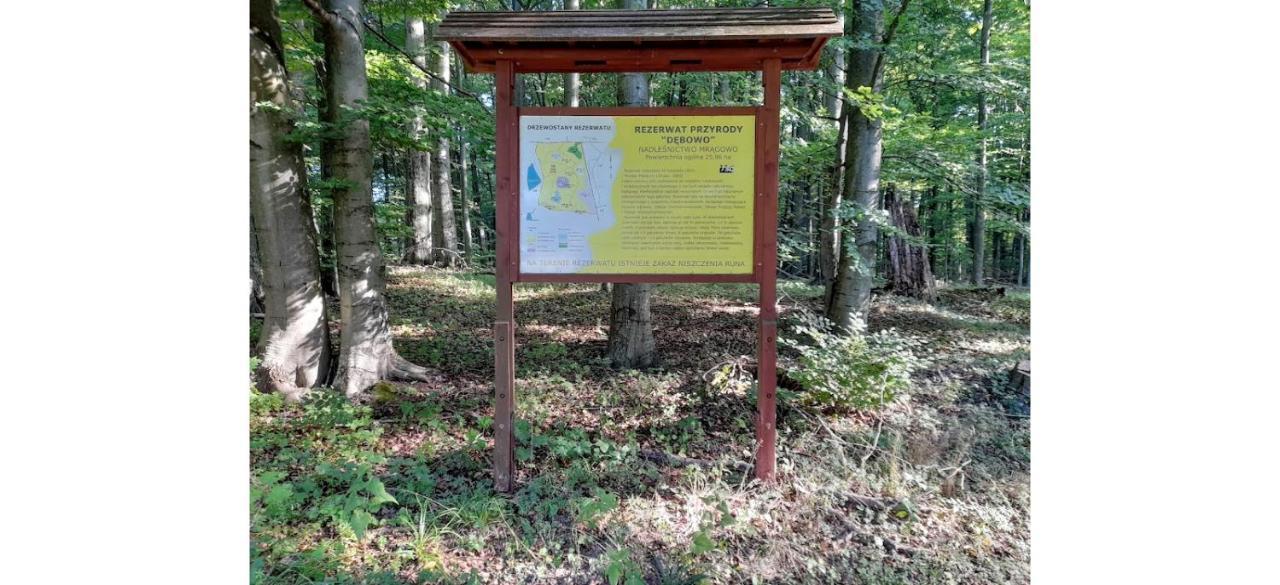Warminskie Mieszkanko * Biskupiec (Olsztyn)